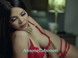 Antonellabonett